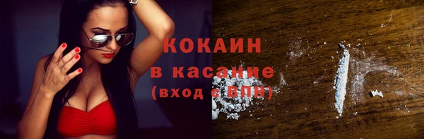 прущий лед Новозыбков