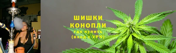 сатива Нея