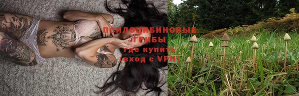 apvp Нефтекумск