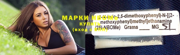 прущий лед Новозыбков