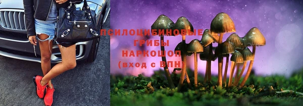 mdma Новодвинск