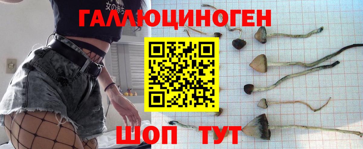 Псилоцибиновые грибы мухоморы Лениногорск