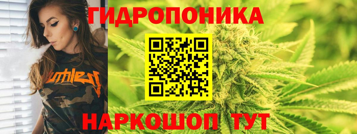 Конопля AK-47  Конопля OG Kush  Бошки марихуана OG Kush  Лениногорск  Вход с VPN  Шишки марихуана семена 